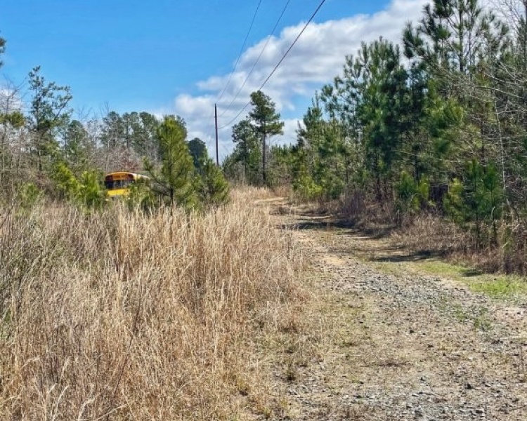 Lamar Co., GA, Barnesville, Prairie Creek, land, estate, pines, hardwoods, frontage, wildlife