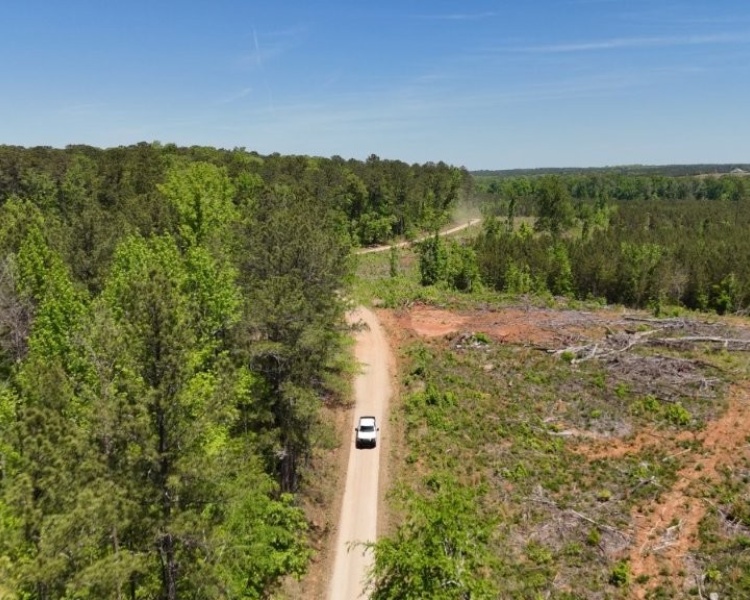 Jasper Co., pines, creeks, frontage, home, estate, oak buffers, deer, turkey, hunting, bargain, private